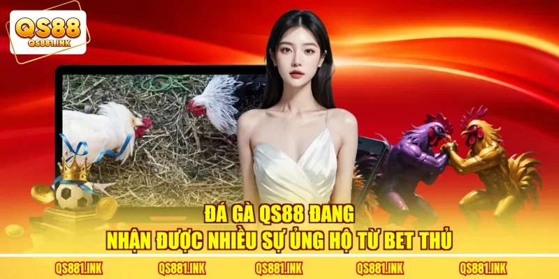 Đá gà QS88 đang nhận được nhiều sự ủng hộ từ bet thủ