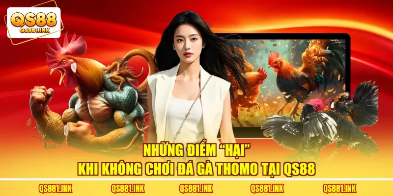 Những điểm “hại” khi không chơi đá gà thomo tại QS88