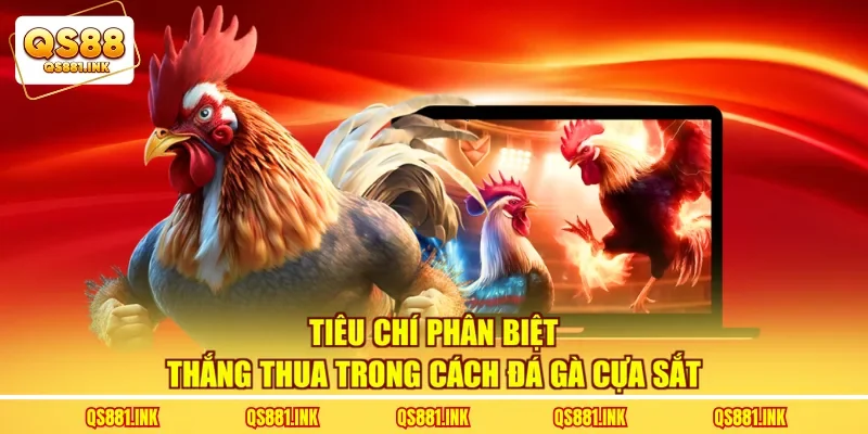 Tiêu chí phân biệt thắng thua trong cách đá gà cựa sắt